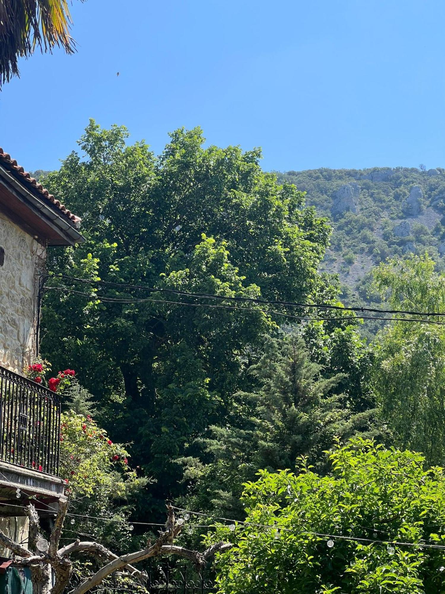 Palacio De Los Alvarado En Las Merindades El Ribero Luaran gambar